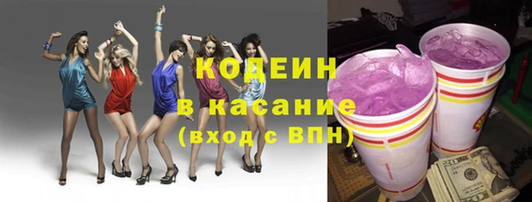 mix Инта