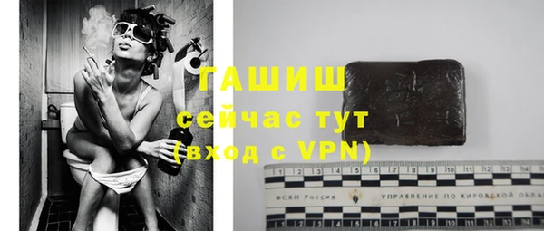 mix Инта