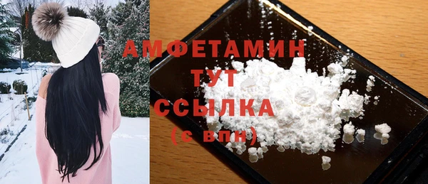 mix Инта
