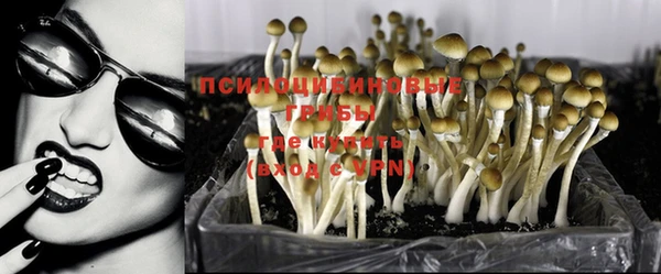 гашишное масло Инсар