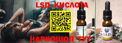 шишки Кимры