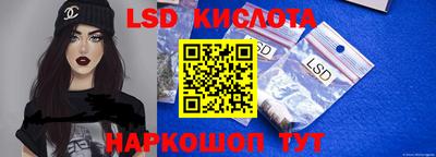 шишки Кимры