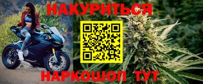 шишки Кимры