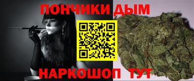 шишки Кимры