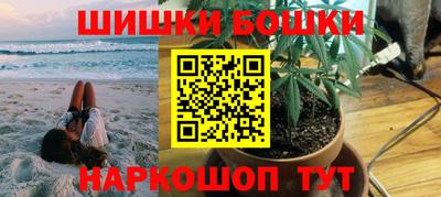 шишки Кимры