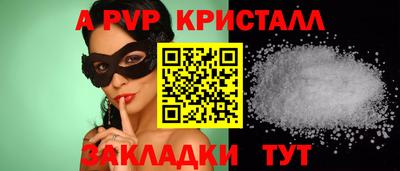 шишки Кимры