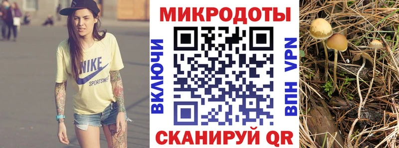 цены   blacksprut рабочий сайт  Галлюциногенные грибы прущие грибы  Кимовск 